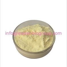 China Northwest Factory Manufacturer Riboflavin/Vitamin B2 Cas 83-88-5 For stock delivery