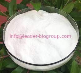 China Northwest Factory Manufacturer Sebacic Acid Cas 111-20-6 For stock delivery