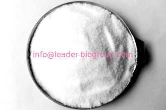 China Northwest Factory Manufacturer Ginsenoside Rg1 CAS 22427-39-0 For stock delivery
