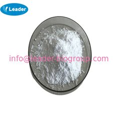 China biggest Manufacturer Factory Supply STRONTIUM TUNGSTATE  CAS 13451-05-3