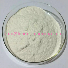 China Largest Factory Manufacturer GLUCOSYLRUTIN CAS 130603-71-3 For stock delivery