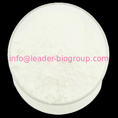 China Largest Factory Manufacturer Yeast Beta Glucan  CAS 9012-72-0 For stock delivery