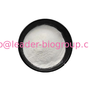 China Biggest Manufacturer Factory Supply L-Lysine HCL CAS 657-27-2 Inquiry: info@leader-biogroup.com