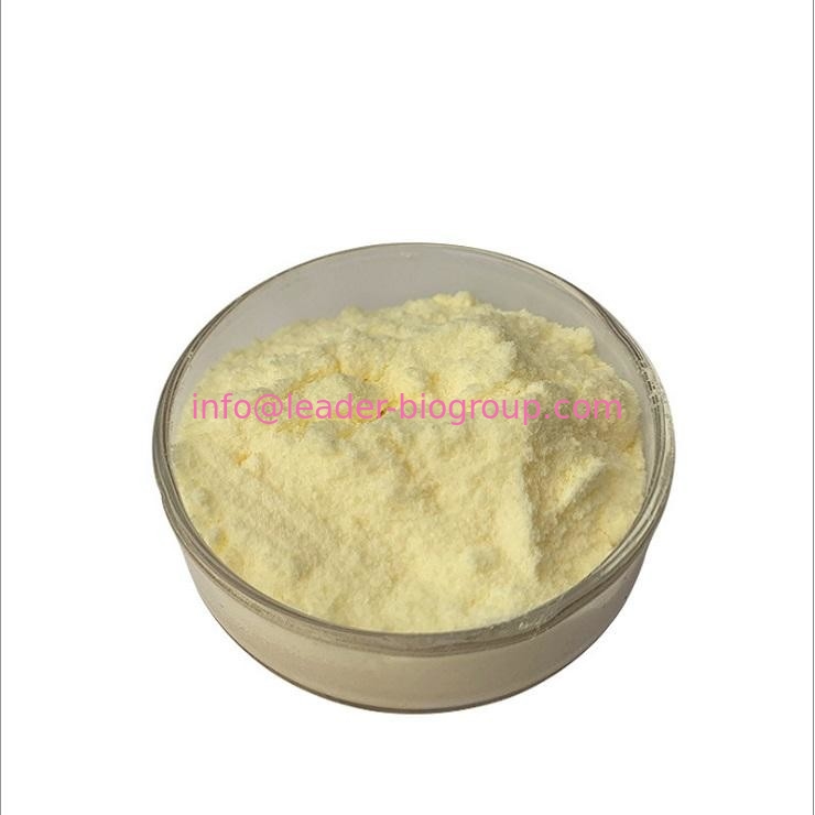 China Northwest Factory Manufacturer Riboflavin/Vitamin B2 Cas 83-88-5 For stock delivery