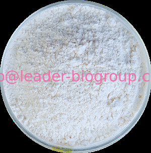 China Northwest Factory Manufacturer BENZOPHENONE-1 CAS 131-56-6 For stock delivery