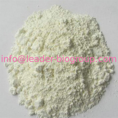 China Northwest Factory Manufacturer Ursolic Acid  CAS 77-52-1 For stock delivery