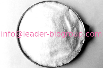 China Northwest Factory Manufacturer Ginsenoside Rg1 CAS 22427-39-0 For stock delivery