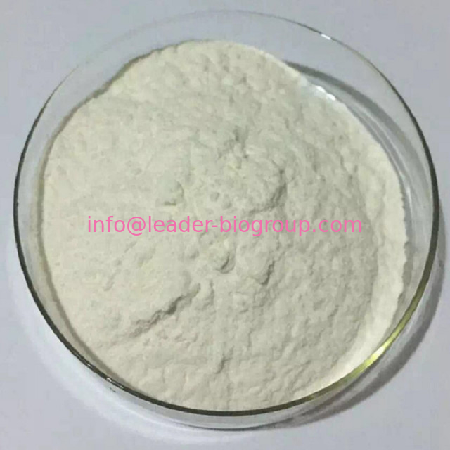 China Largest Factory Manufacturer GLUCOSYLRUTIN CAS 130603-71-3 For stock delivery