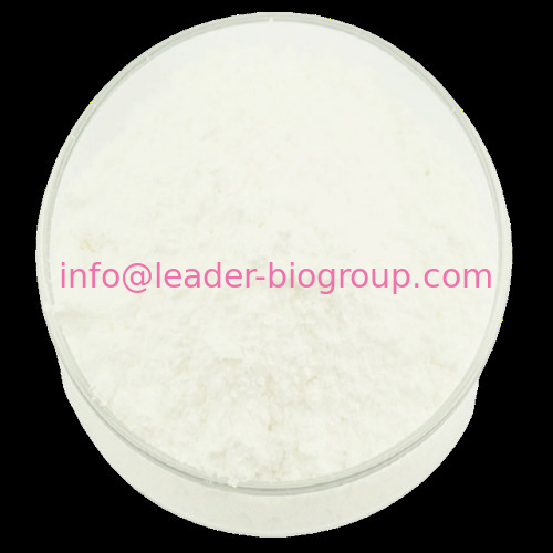 China Largest Factory Manufacturer Yeast Beta Glucan  CAS 9012-72-0 For stock delivery