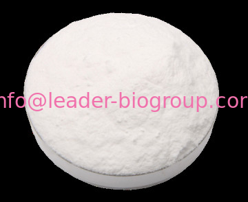 Google Factory Sales Highest Quality NADPH/β-Nicotinamide Adenine Dinuclotide CAS 2646-71-1 For stock delivery