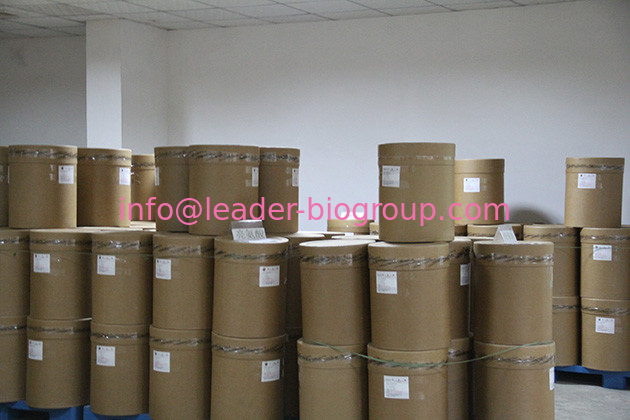 LeaderBio-China Largest Manufacturer Factory Supplier Supply Methyl Vanillate CAS 3943-74-6