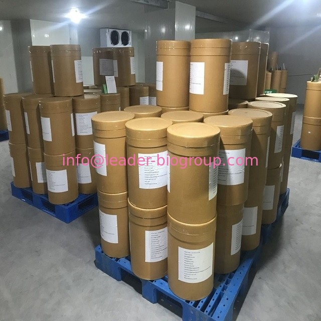 LeaderBio-China Largest Manufacturer Factory Supplier Supply Methyl Vanillate CAS 3943-74-6