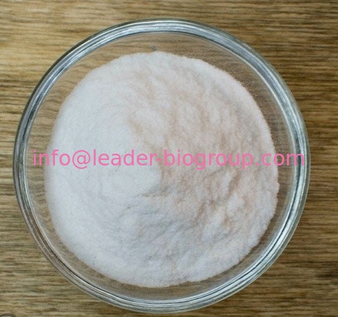 Битартрат холина от дознания фабрики &amp; изготовителя источников Китая: info@leader-biogroup.com