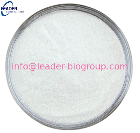 Дознание CAS 9003-39-8 Polyvinylpyrrolidone поставки фабрики Китая самое большое (PVP): Info@Leader-Biogroup.Com